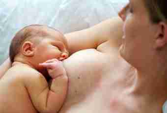 How to recover a breast after feeding of the child