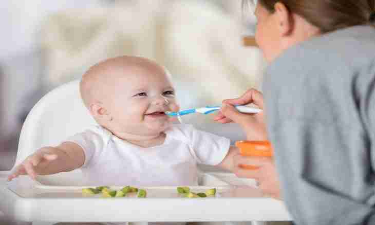 What to feed the child in 10 months with