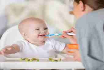 What to feed the child in 10 months with