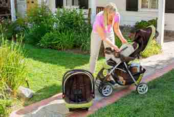 How to choose a stroller for the kid