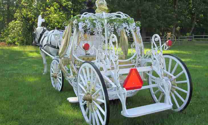 How to choose a carriage cradle