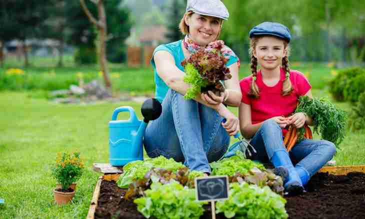 How to transfer the child to other garden