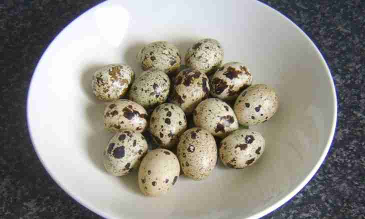 How to cook quail eggs to children