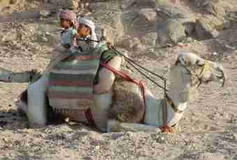 How to have a rest with the child in Egypt