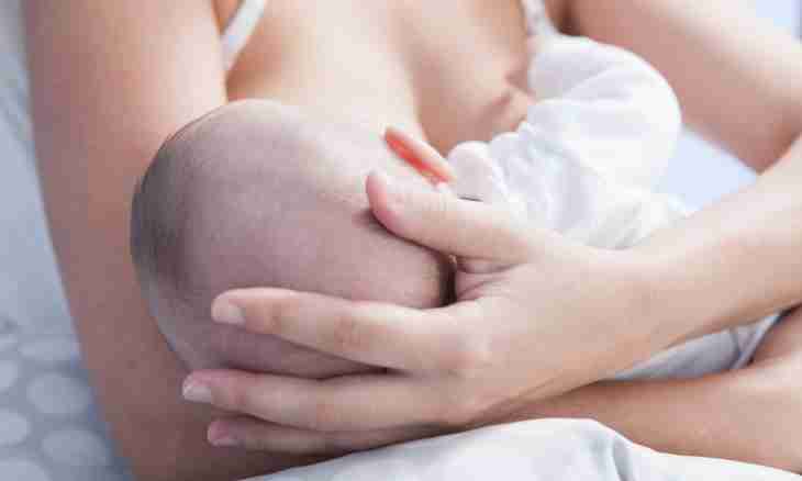 Whether it is worth continuing breastfeeding at high temperature