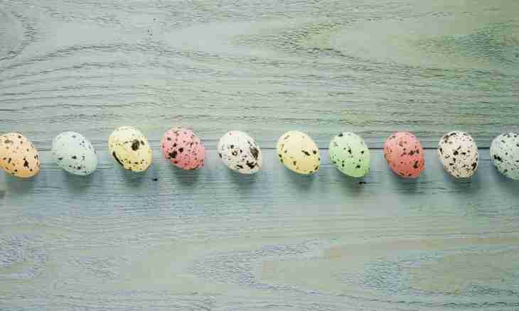 What it is possible to prepare for the child from quail eggs