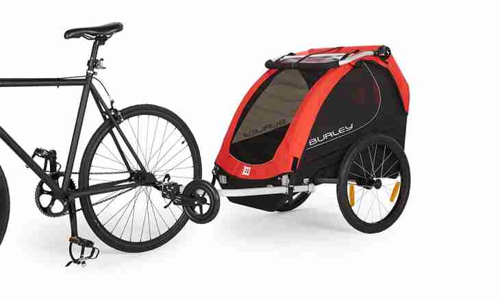 Three-wheeled strollers: features of the choice