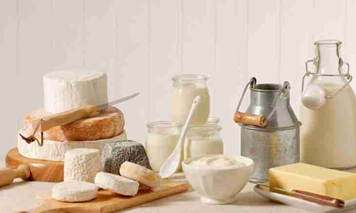What products give in dairy kitchen