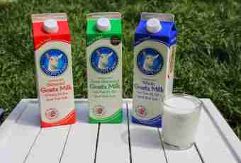 Goat milk for children: advantage, rules of the use