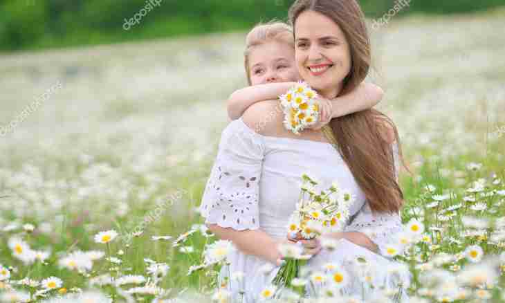 How to make a camomile to the child