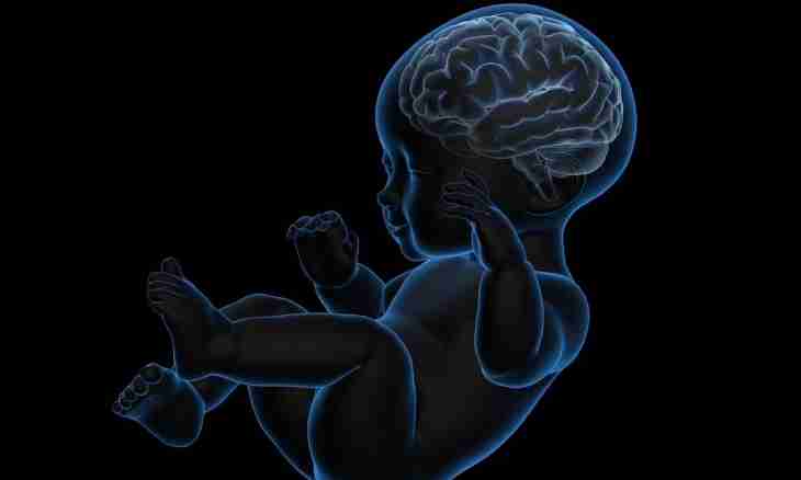 How to calm nervous system of the child