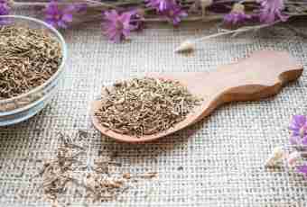 How to give a valerian root to the child
