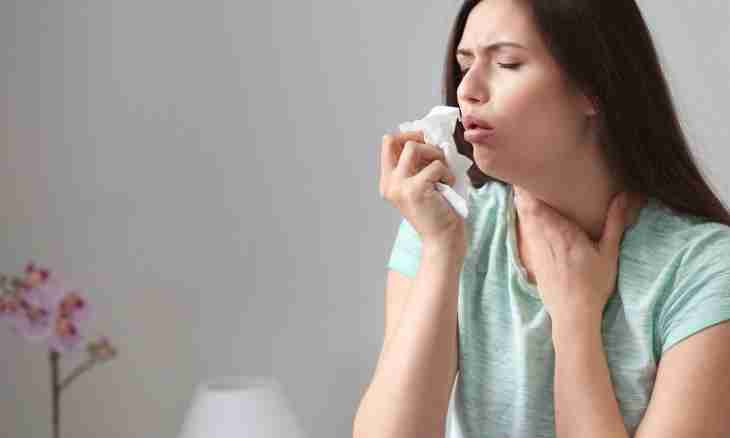 Severe cough at the child: reasons and treatment