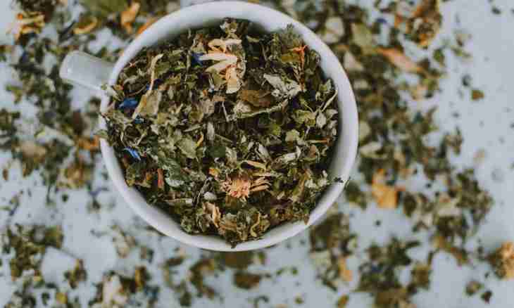 What herbal teas can be given to the child