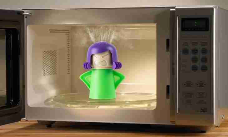 Sterilization of children's ware: the microwave suits not only for food!