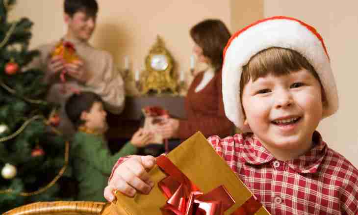 How to please with New Year's gifts to children