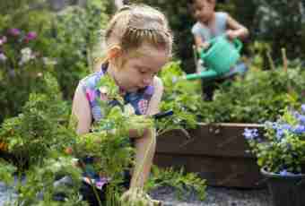 How to occupy children in a garden