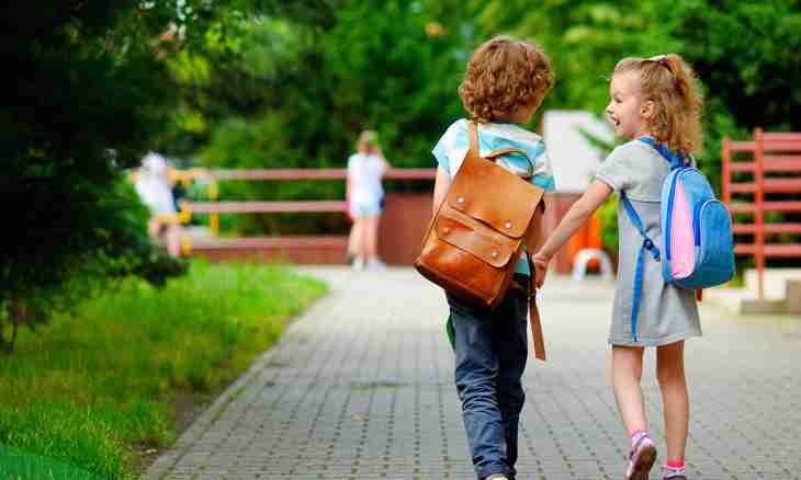 How to organize walk with children