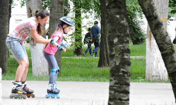 Where to go with children in Rostov