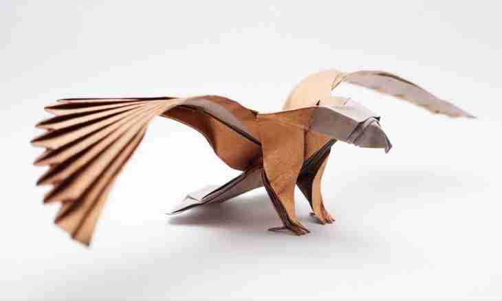 How to make of paper a toy to the Raven