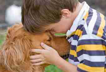 Advantage of friendship of children and pets