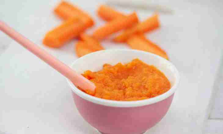 How to make fruit puree for the child