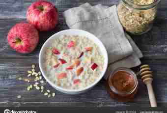Milk and nonmilk porridge: what to choose