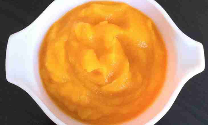 How to enter vegetable puree