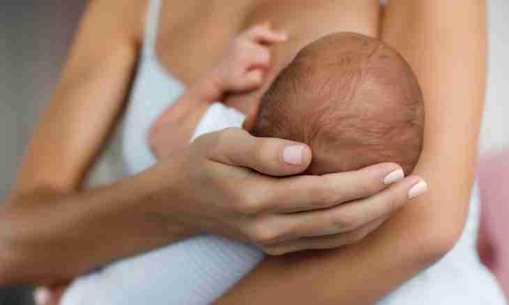 How to restore a lactation after a break