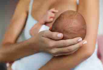 How to restore a lactation after a break