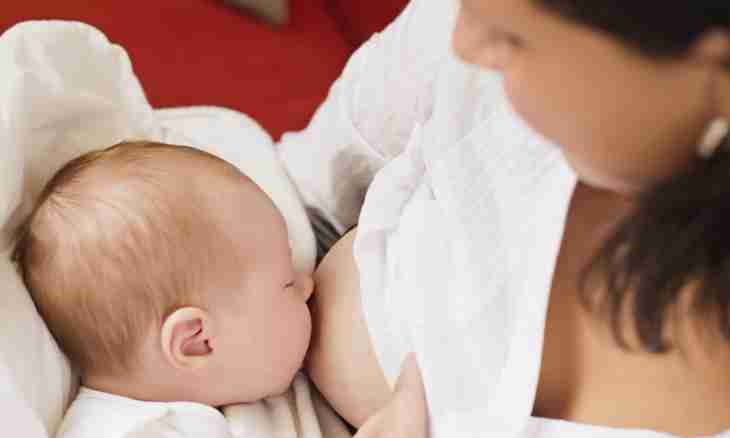 Councils for excommunication from breastfeeding