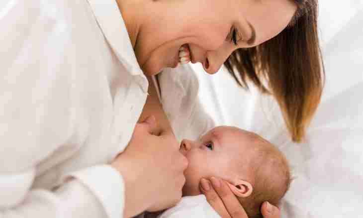 How to disaccustom the child to breastfeeding