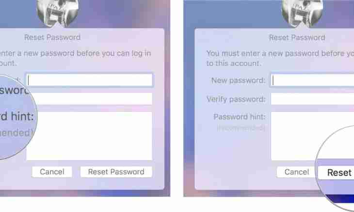 How to fill out the password