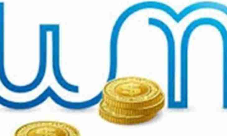 What can be bought for WebMoney