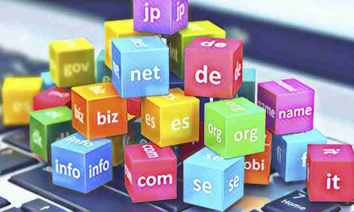 What is domains