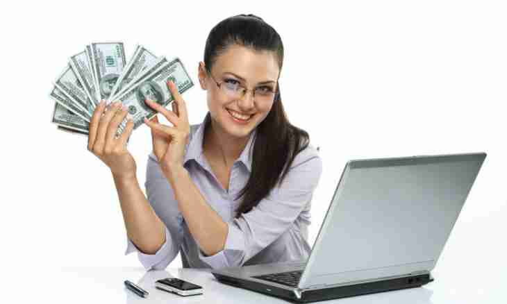 How to earn on the Internet from Forex