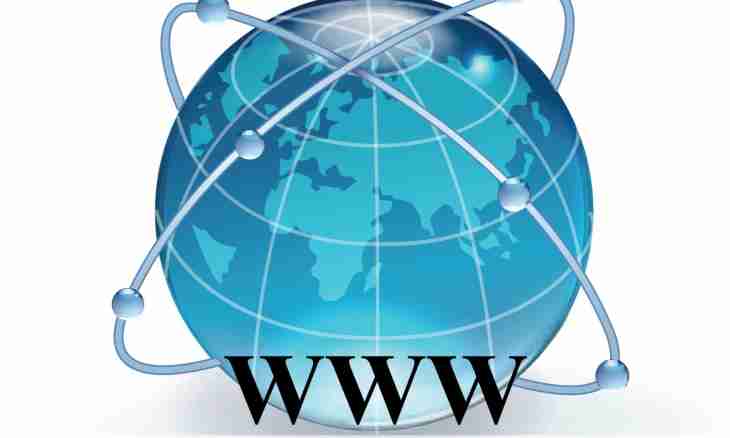 What is a world wide web