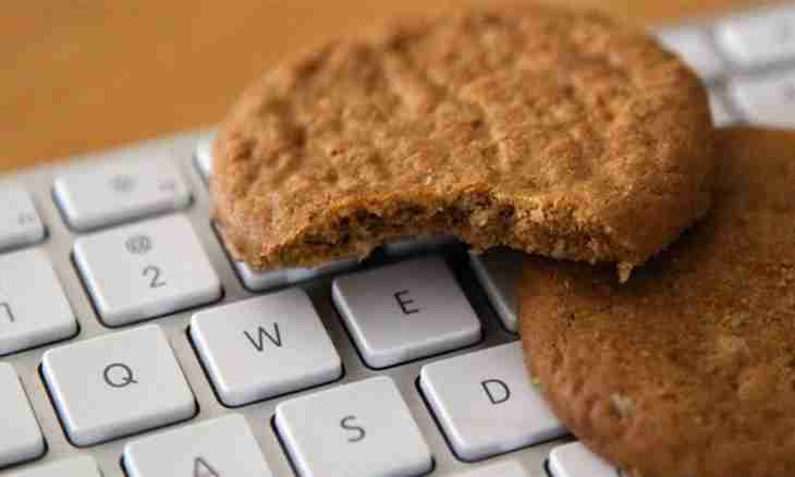 How to include cookies in the browser