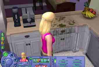 Sims 2: whether it is possible to play online?