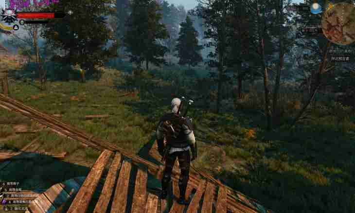 Witcher 3: how to pass quest the Shock therapy?