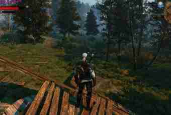 Witcher 3: how to pass quest the Shock therapy?