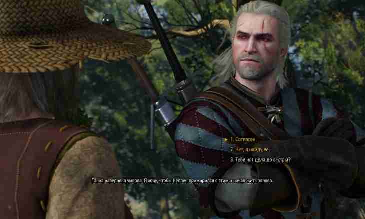 Witcher 3: how to pass quest Wild heart?