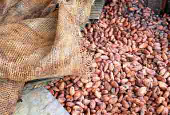Why in a maynkrafta cocoa beans