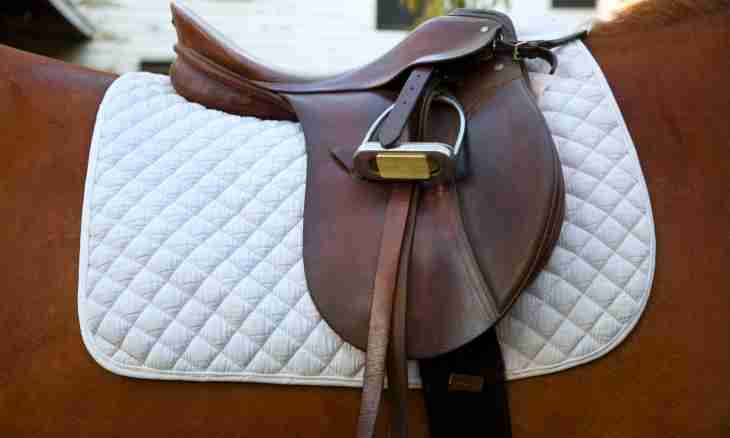 How to skraftit a saddle