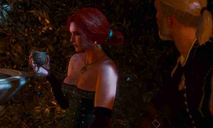Witcher 3: how to pass quest of the hostess of the wood?