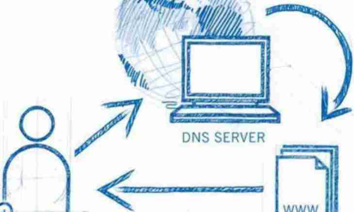 How to learn server ip dns