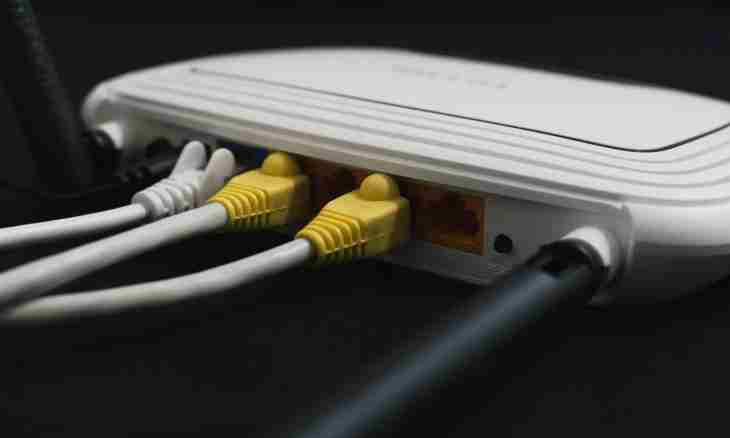 How to connect the home Internet Beeline