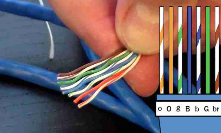How to press out a wire of the Internet