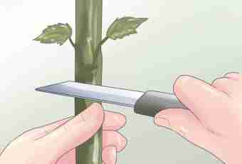 How to delete a leaf the ban