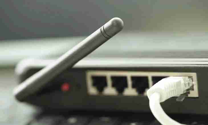Internet cable: how to connect to the computer
